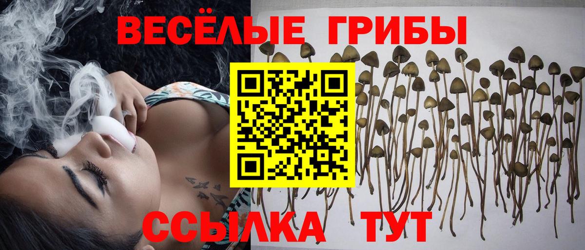Псилоцибиновые грибы ЛСД  Вход с VPN  Видное 