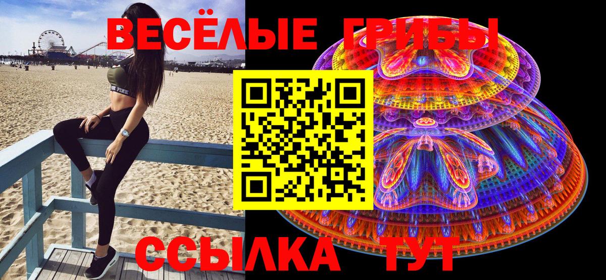 Галлюциногенные грибы GOLDEN TEACHER Видное
